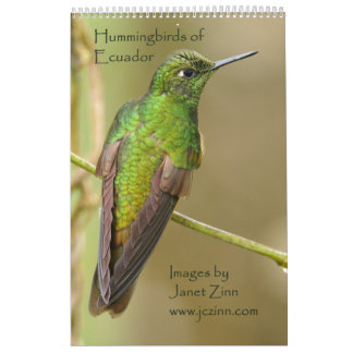 Hummingbirds av den Ecuador kalendern Kalender