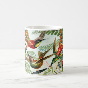 Hummingbirds av Ernst Haeckel (2) Kaffemugg