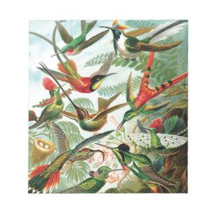 Hummingbirds av Ernst Haeckel Anteckningsblock