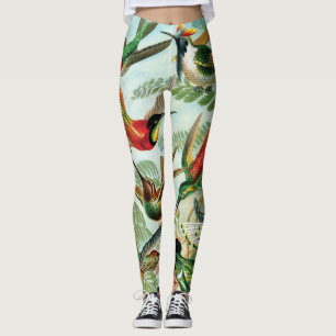 Hummingbirds av Ernst Haeckel Leggings