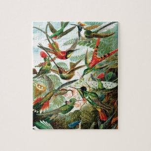Hummingbirds av Ernst Haeckel Pussel