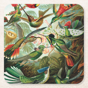 Hummingbirds av Ernst Haeckel Underlägg Papper Kvadrat