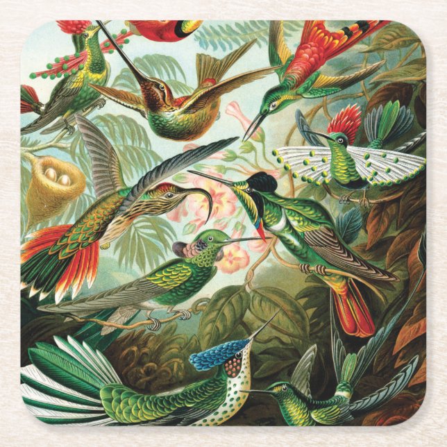 Hummingbirds av Ernst Haeckel Underlägg Papper Kvadrat (Framsidan)