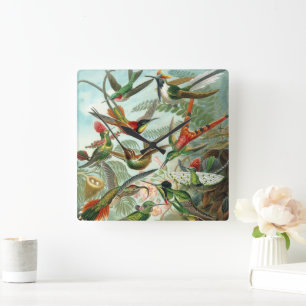 Hummingbirds av Ernst Haeckel, vintagefågelträd Fyrkantig Klocka