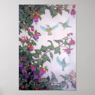 Hummingbirds i vår poster