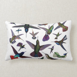Hummingbirds kudder lumbarkudde
