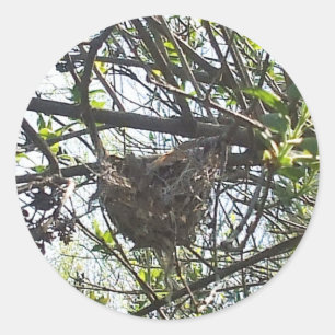 Hummingbird's Nest in Lilac Shrub Square Sticker Runt Klistermärke