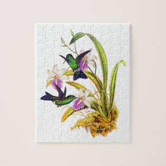 Hummingbirds och lilaOrchids Pussel