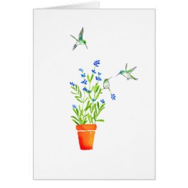 Hummingbirds på lavendel OBS kort