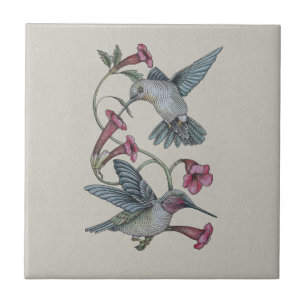 Hummingbirds & Vine Kakelplatta