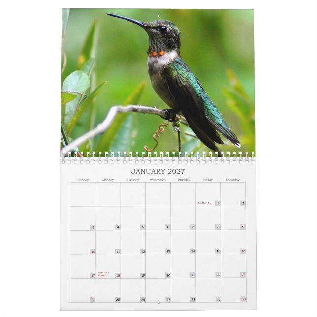Hummingbirdsårs'runda Kalender (Jan 2027)