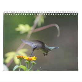 Hummingbirdsårs'runda Kalender