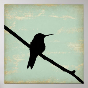 HummingbirdSilhouette på blåttGrungebakgrund Poster