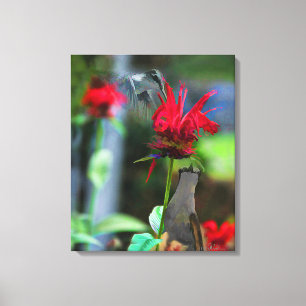 HUMMINGBIRDSkanvastryck - 20 x 24 Canvastryck