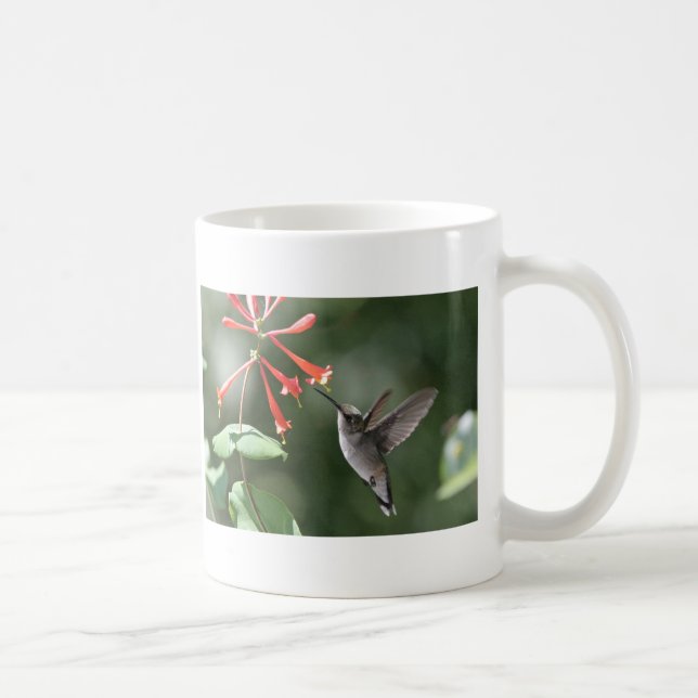 Hummingbirdskatter Kaffemugg (Höger)