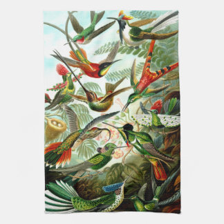 Hummingbirdskökshandduk Kökshandduk