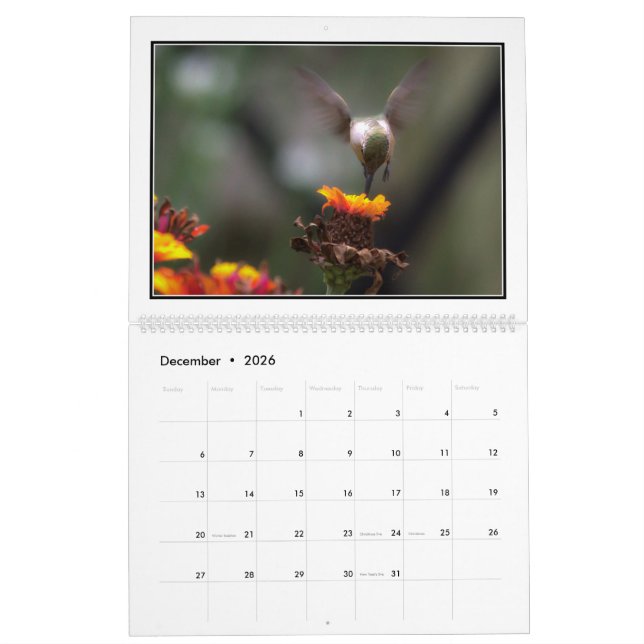 Hummingbirdsmånadstidningkalender 2016 av Tom Kalender (Dec 2026)