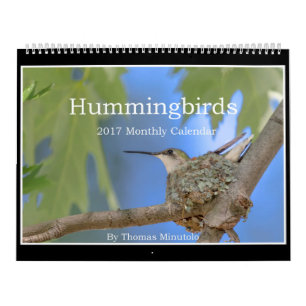 Hummingbirdsmånadstidningkalender 2017 av Tom Kalender