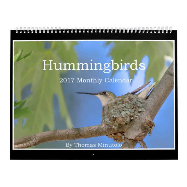 Hummingbirdsmånadstidningkalender 2017 av Tom Kalender (Omslag)