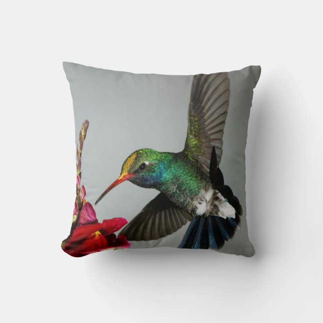 Hummingbirdvårdekoren kudder kudde (Framsida)