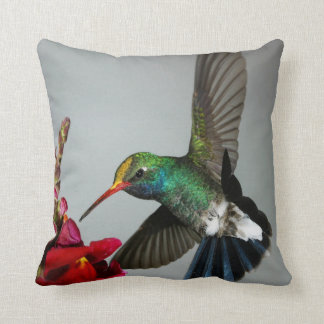 Hummingbirdvårdekoren kudder kudde
