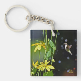Hummingfågel