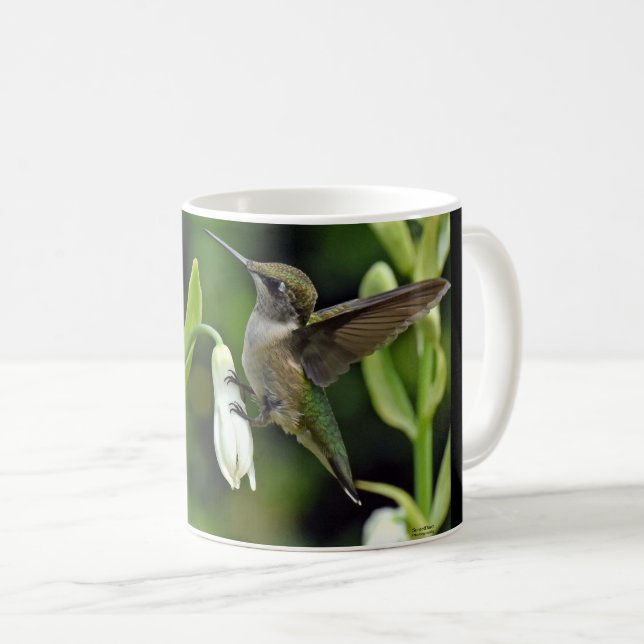 Hummingfågel Kaffemugg (Framsida höger)