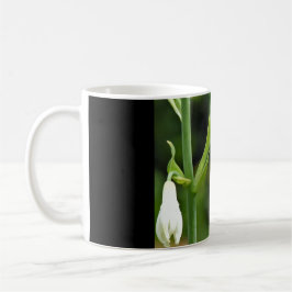 Hummingfågel Kaffemugg