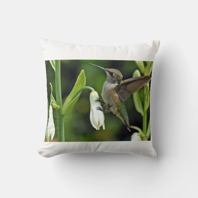 Hummingfågel Kudde (Framsida)