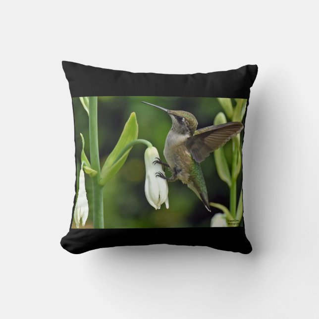 Hummingfågel Kudde (Framsida)
