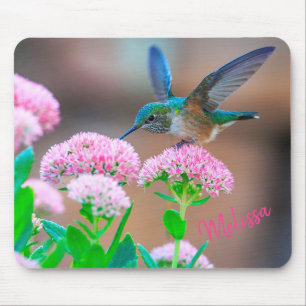 Hummingfågel Musmatta