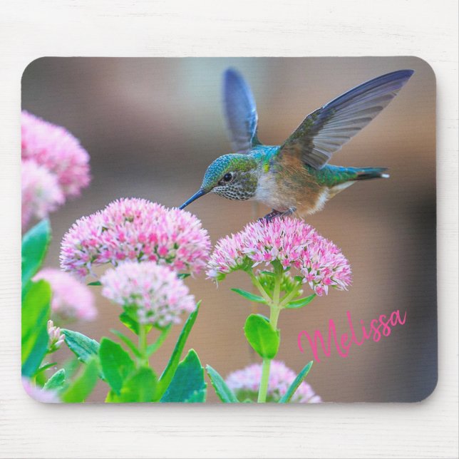 Hummingfågel Musmatta (Framsidan)