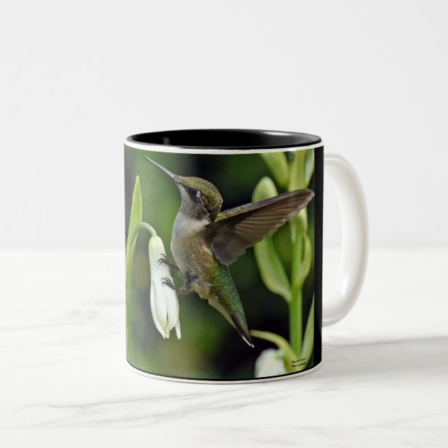 Hummingfågel Två-Tonad Mugg (Framsida höger)