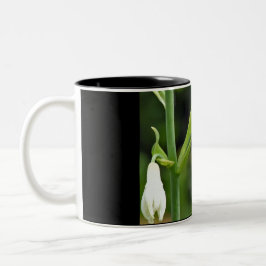 Hummingfågel Två-Tonad Mugg