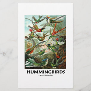 Hummingfåglar