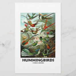 Hummingfåglar