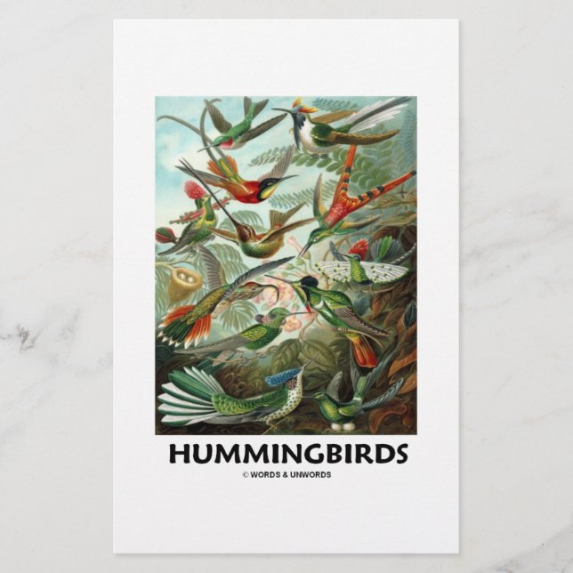 Hummingfåglar (Framsida)