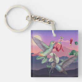 Hummingfåglar