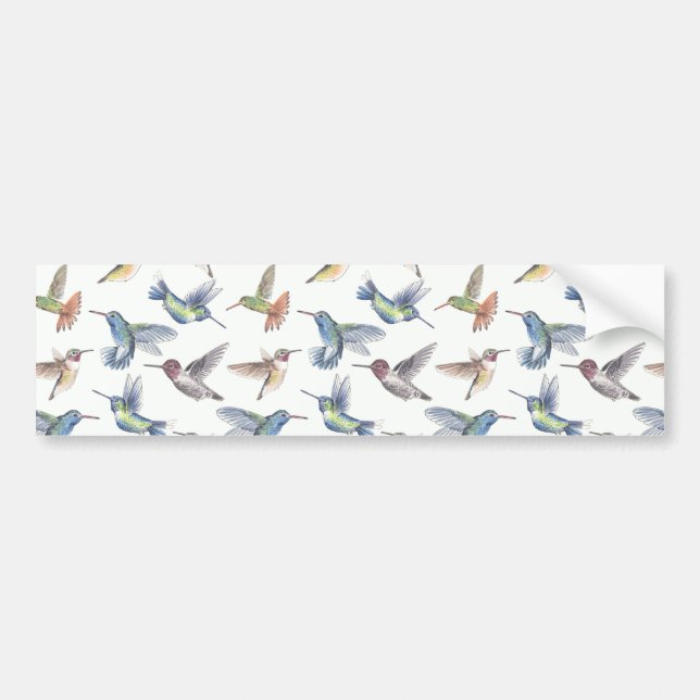 Hummingfåglar Bildekal (Framsidan)