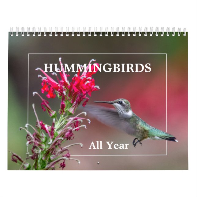 Hummingfåglar hela året kalender (Omslag)