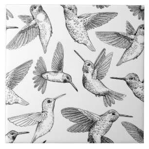 Hummingfåglar Kakelplatta