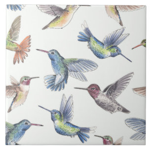 Hummingfåglar Kakelplatta