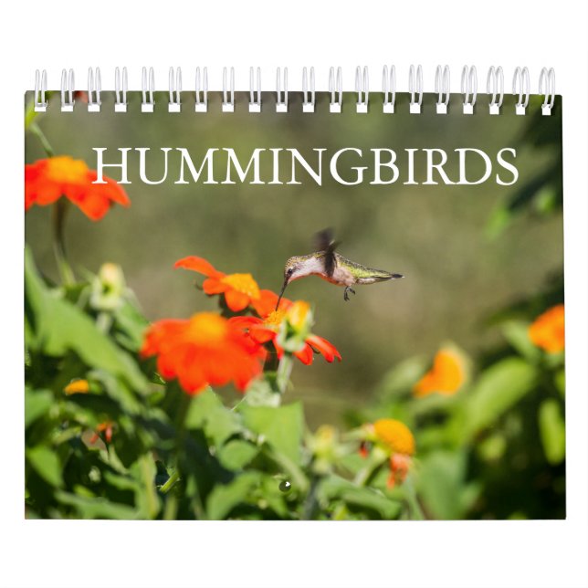Hummingfåglar Kalender (Omslag)