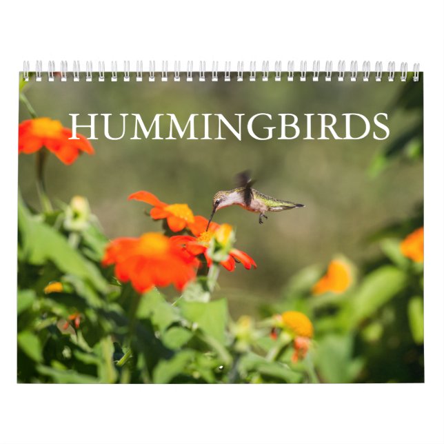 Hummingfåglar Kalender (Omslag)