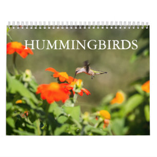 Hummingfåglar Kalender