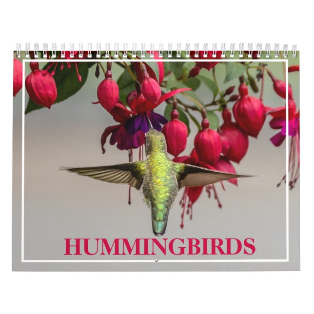Hummingfåglar Kalender (Omslag)