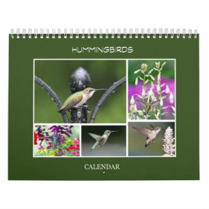 Hummingfåglar Kalender