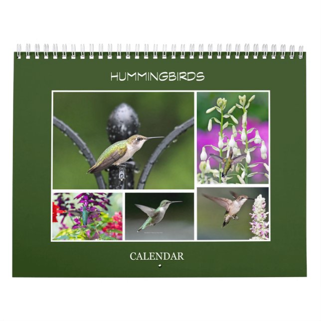 Hummingfåglar Kalender (Omslag)