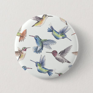 Hummingfåglar Knapp