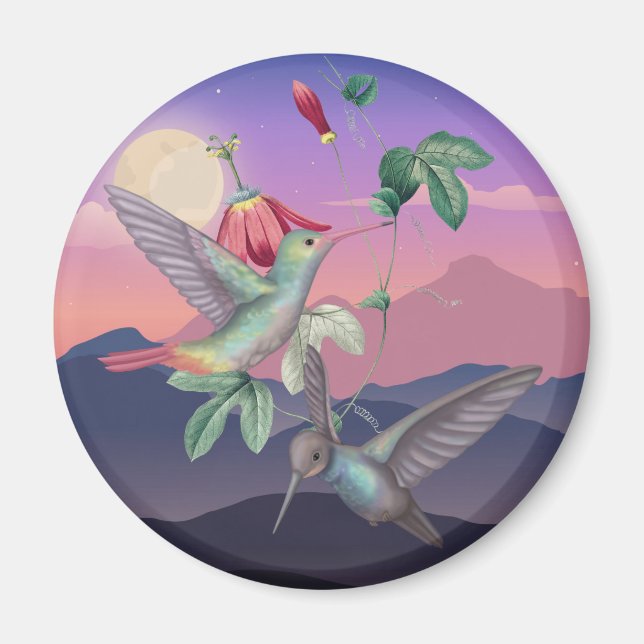 Hummingfåglar Magnet (Framsidan)